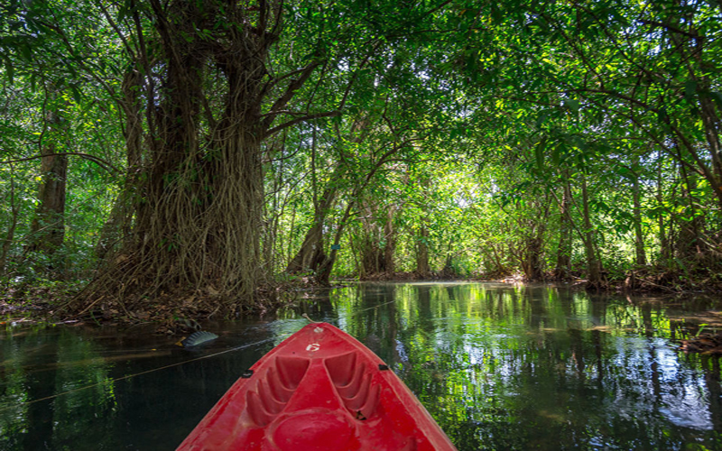 Kayaking Full Day Ao Thalane Klong Srakaew with Lunch