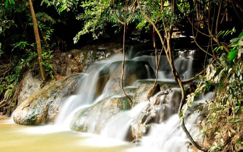 Half Day Day Hot Spring Waterfall & Emerald Pool Tour​ No Lunch