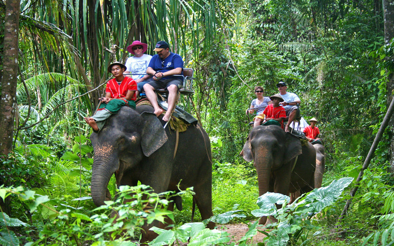 Elephant Trekking 40 Min & ATV Adventure 40 Min No Lunch